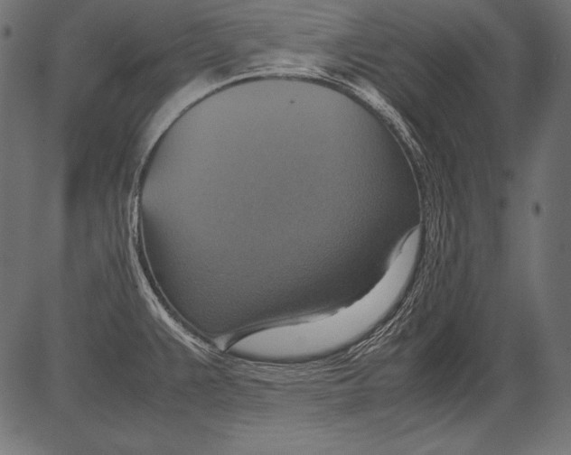 X0000081371383200702020154