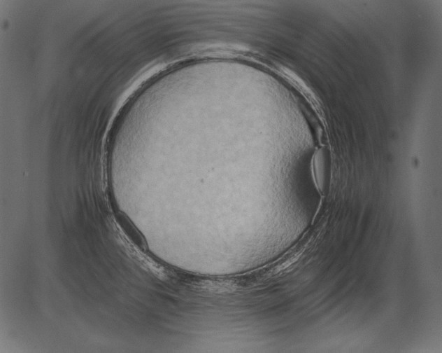 X0000081371384200702020154