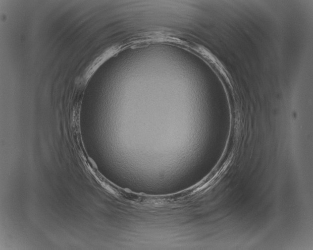 X0000081371385200702020154