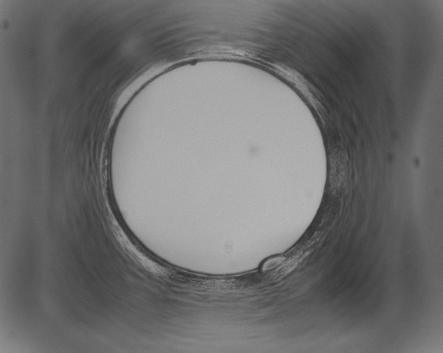 X0000081371387200702020154