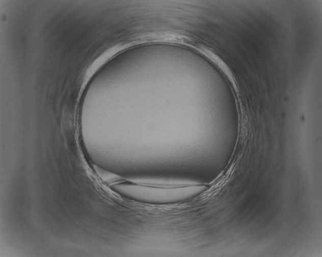 X0000081371389200702020154