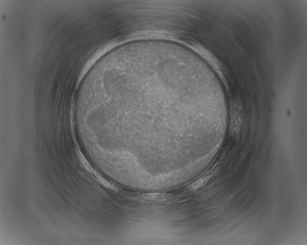 X0000081371390200702020154