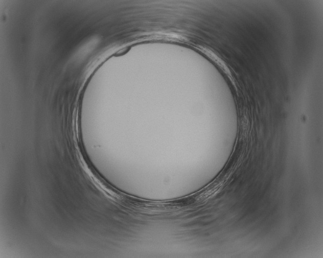 X0000081371391200702020154