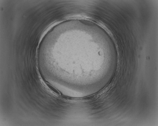 X0000081371392200702020154