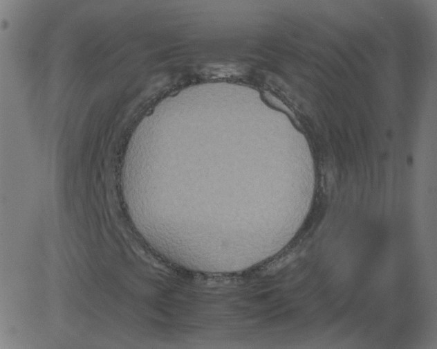 X0000081371393200702020153