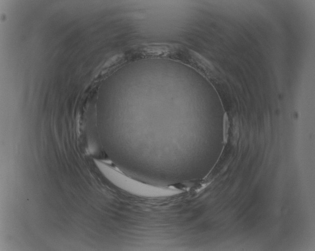 X0000081371394200702020153