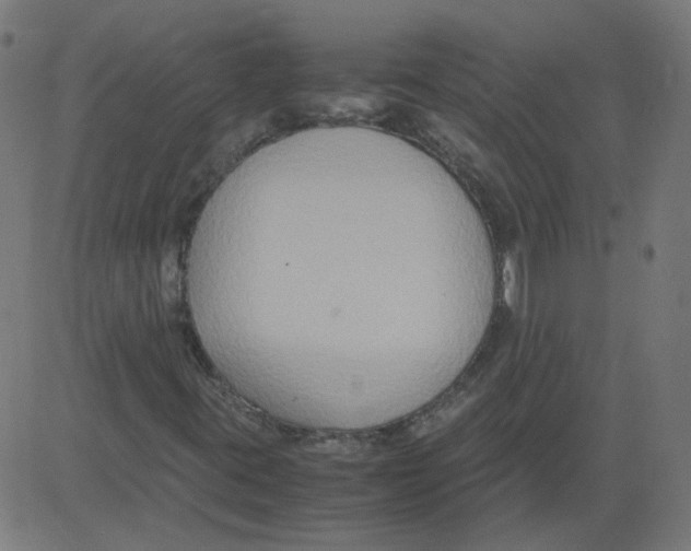 X0000081371395200702020153