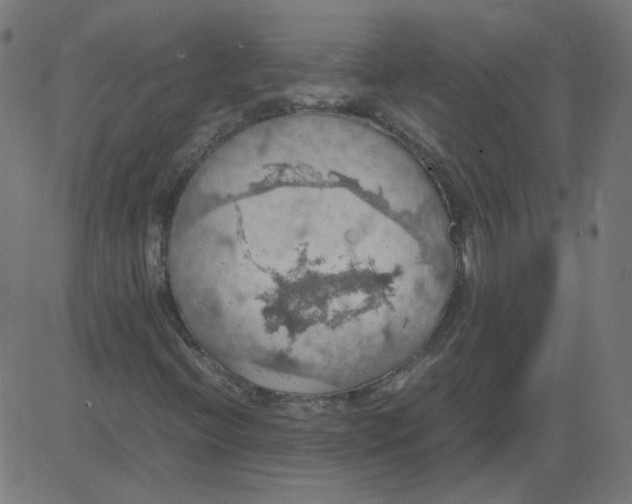 X0000081371396200702020153