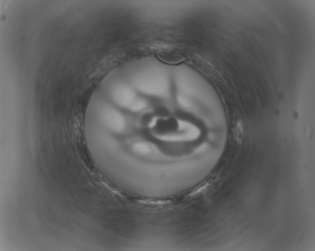 X0000081371397200702020153