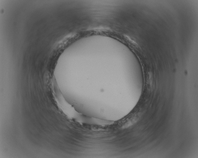 X0000081371398200702020153