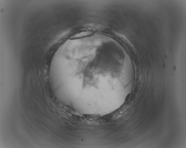 X0000081371399200702020153