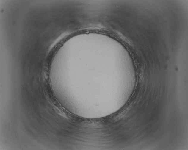 X0000081371400200702020153