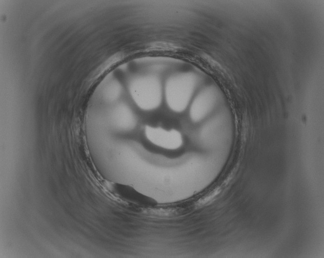 X0000081371401200702020153