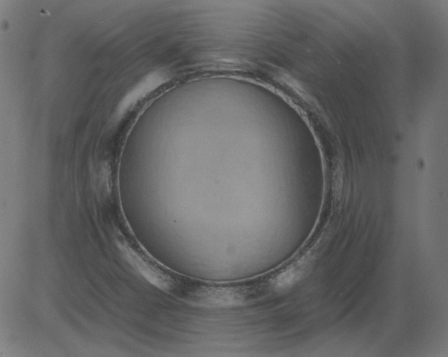 X0000081371402200702020153