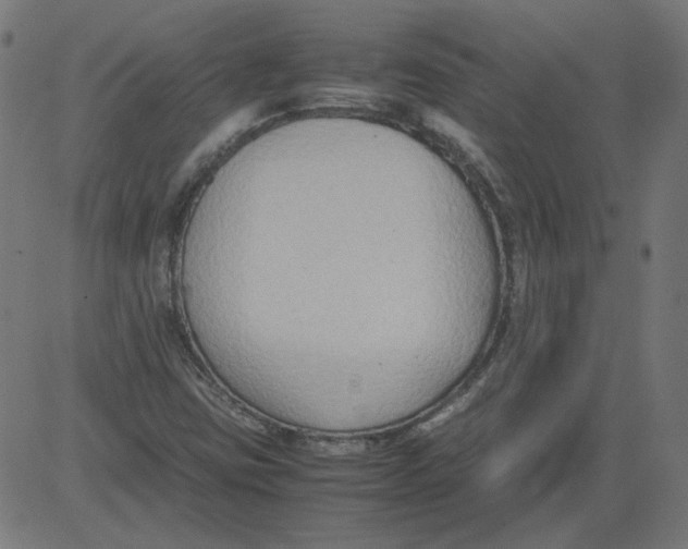 X0000081371403200702020153