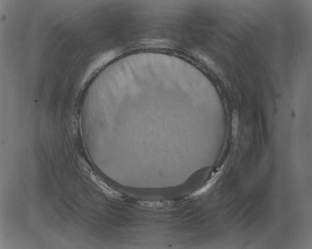 X0000081371405200702020153