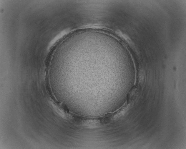 X0000081371406200702020153