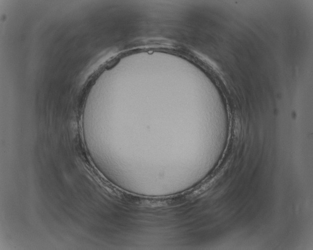 X0000081371407200702020153