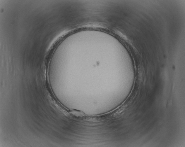 X0000081371408200702020153