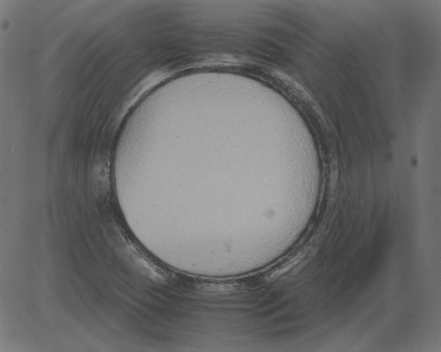 X0000081371409200702020153