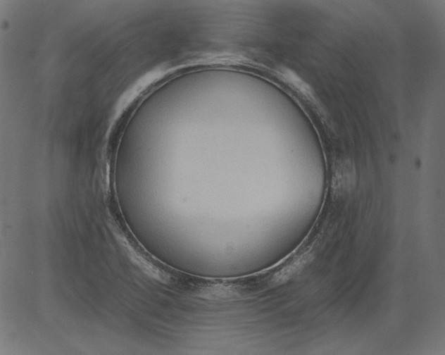 X0000081371414200702020154