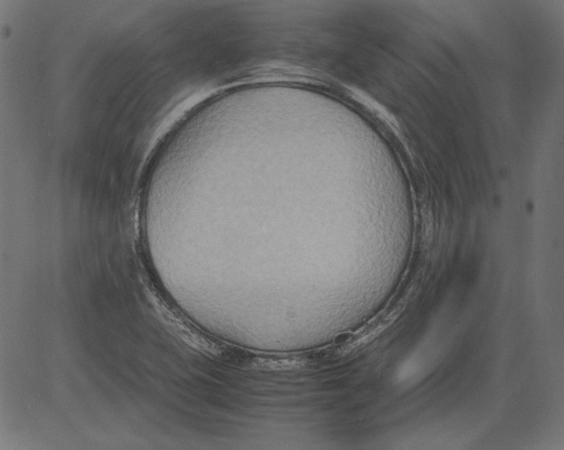 X0000081371415200702020154