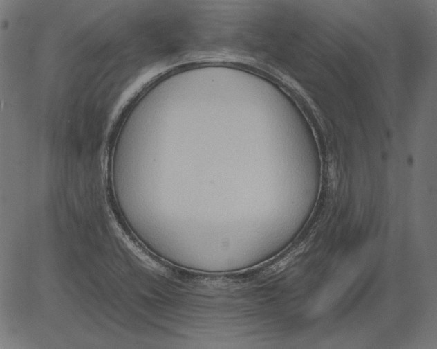 X0000081371416200702020154