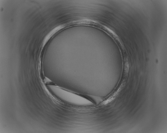 X0000081371418200702020154