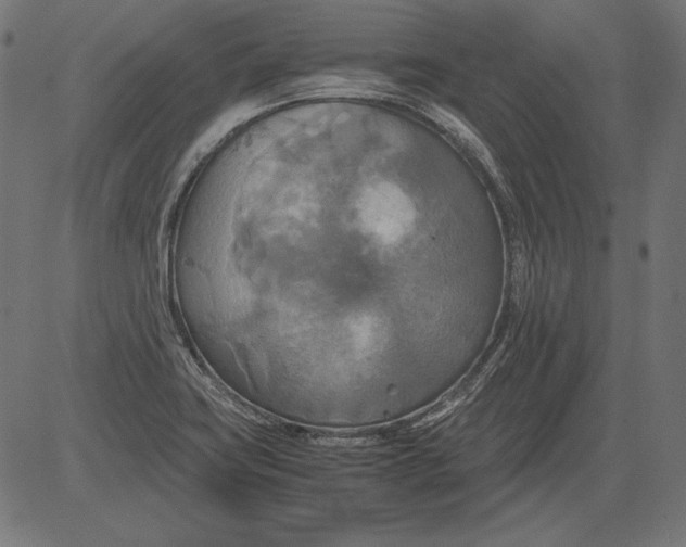 X0000081371419200702020154