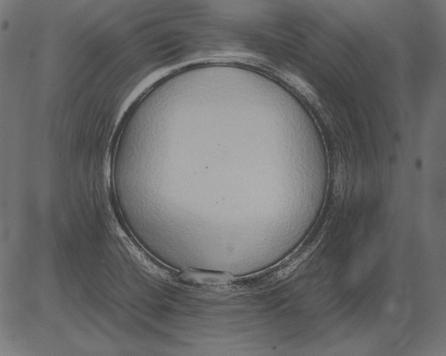 X0000081371420200702020154