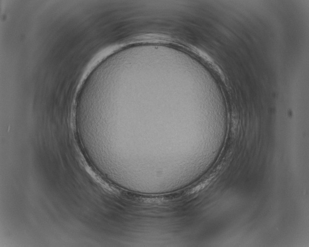 X0000081371421200702020154