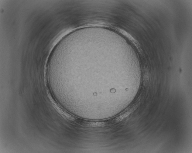 X0000081371423200702020154