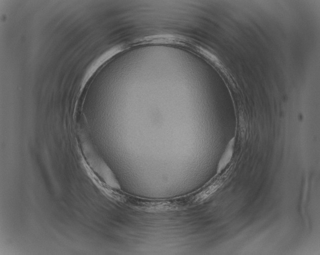 X0000081371426200702020154