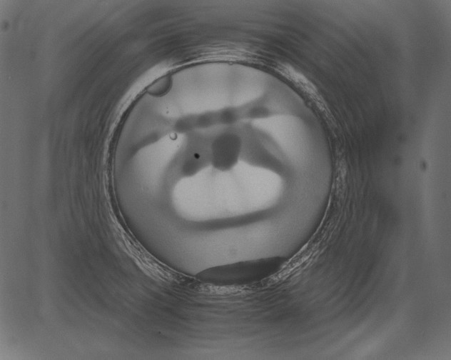 X0000081371427200702020154