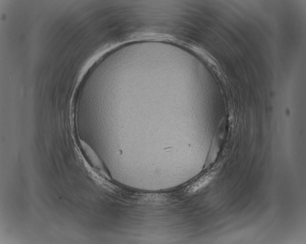 X0000081371430200702020154