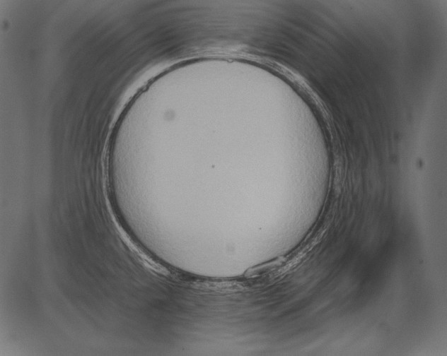 X0000081371432200702020154