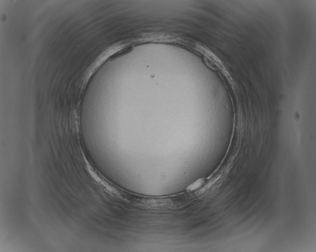 X0000081371433200702020154