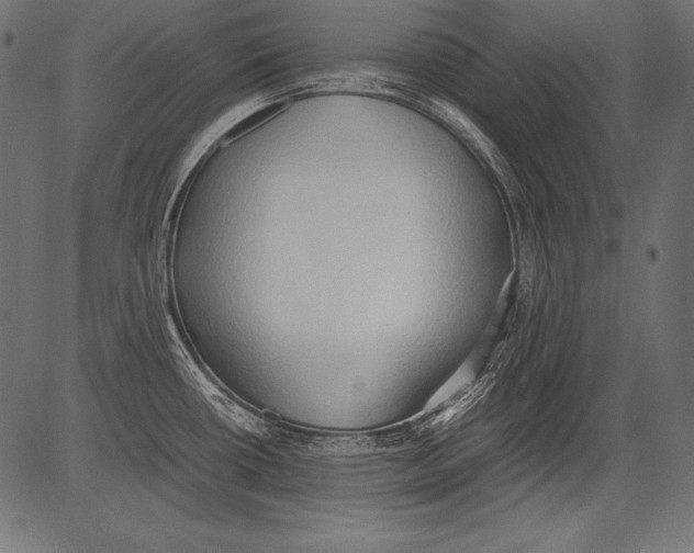 X0000081371434200702020154