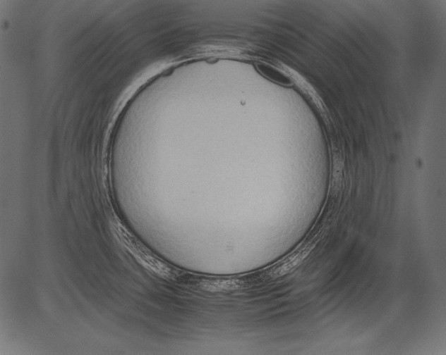 X0000081371435200702020154