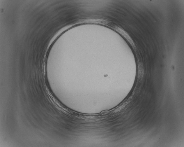 X0000081371436200702020154