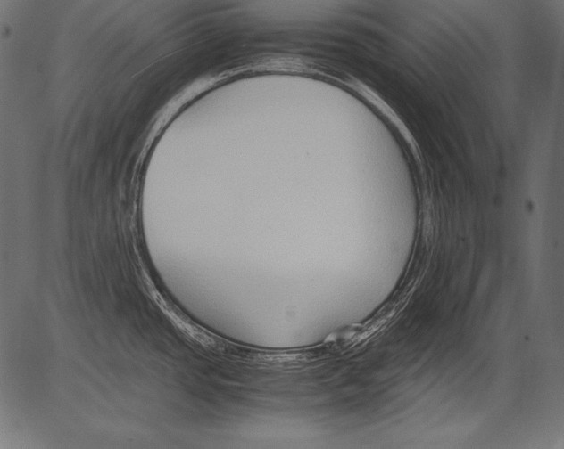 X0000081371437200702020154