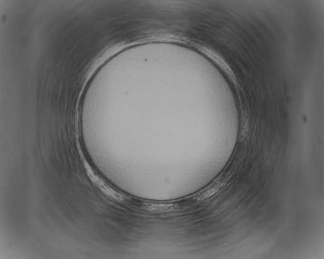 X0000081371439200702020154