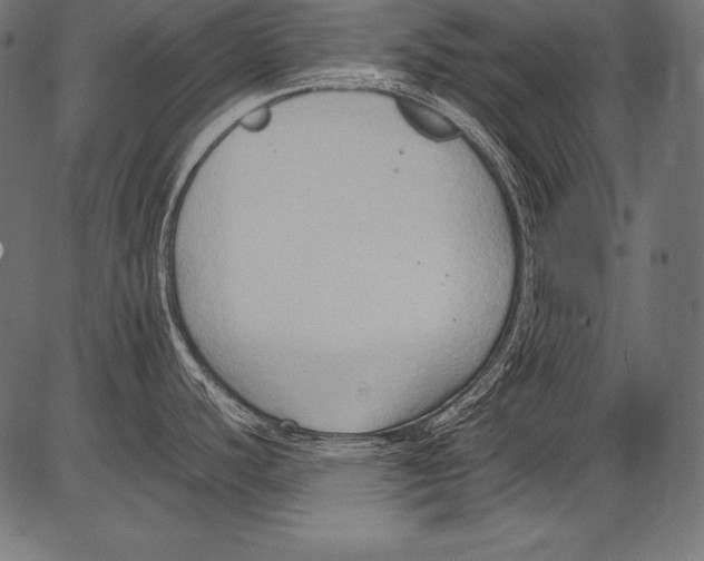 X0000081371440200702020154