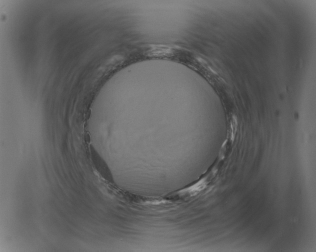 X0000081371441200702020153