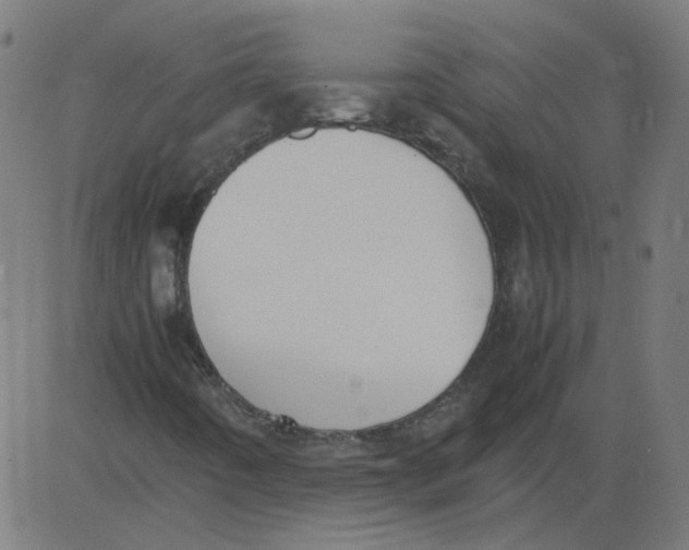 X0000081371442200702020153