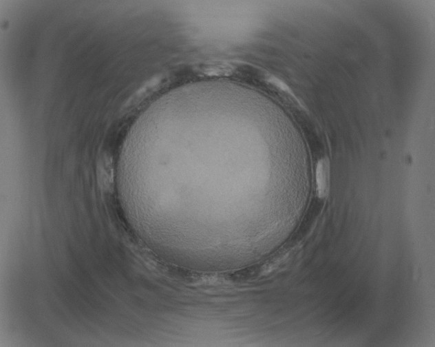 X0000081371443200702020153