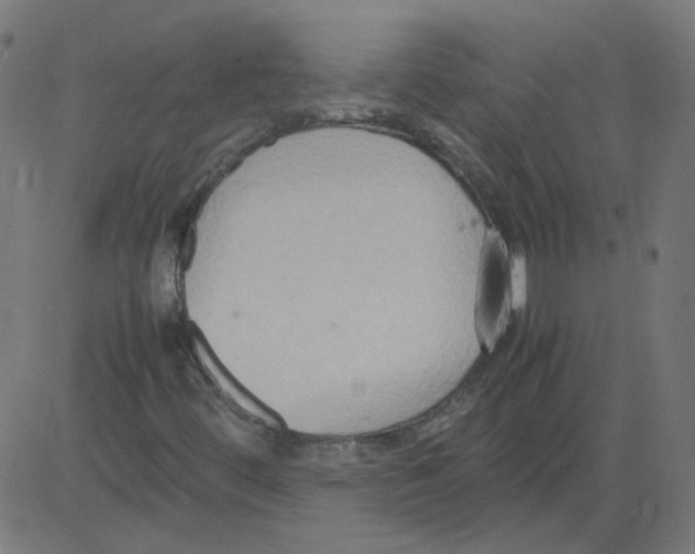 X0000081371444200702020153