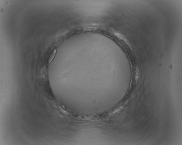 X0000081371445200702020153