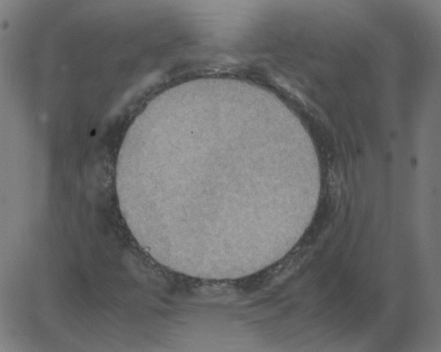 X0000081371447200702020153