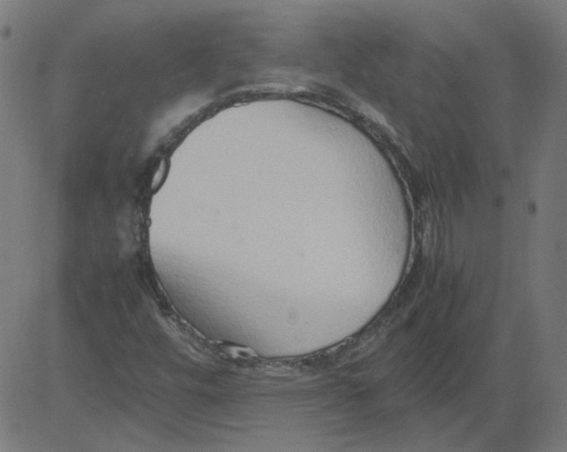 X0000081371448200702020153